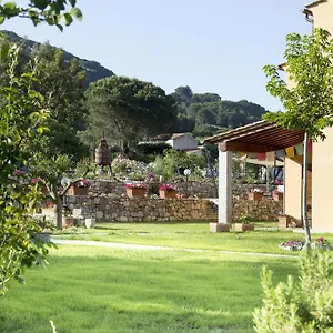 Aiali , Marina di Campo Italia